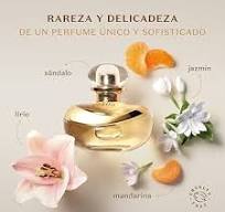 Lily Eau de Parfum, 75ml